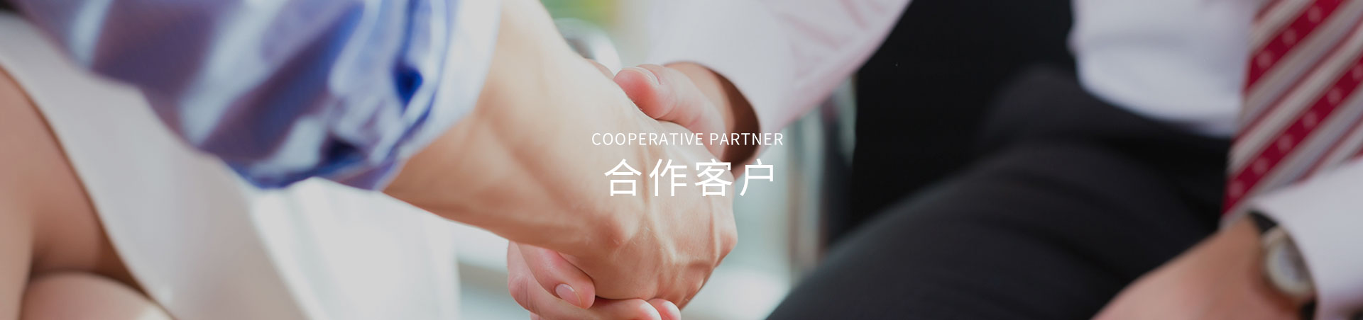 合(he)作夥伴(ban)