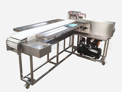 “新洪(hong)輝”切(qie)片機(ji)曆經(jing)多次(ci)改進(jin)